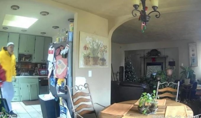 «Один дома» в реальной жизни: 12-летний мальчик дал отпор рождественскому грабителю (3 фото + 1 видео)