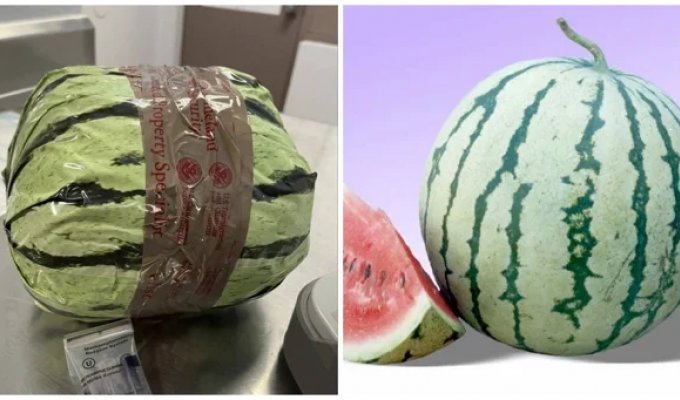 Drug dealers disguised amphetamine as watermelons, but drugs were still found (4 photos)