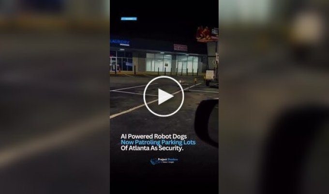 Робопсы начали патрулировать парковки в США