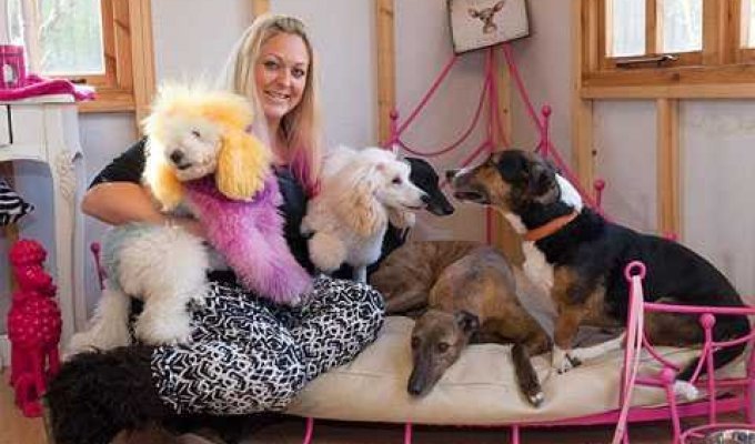 Одержимая собаками британка тратит по $3000 в месяц на своих хвостатых детей (7 фото)
