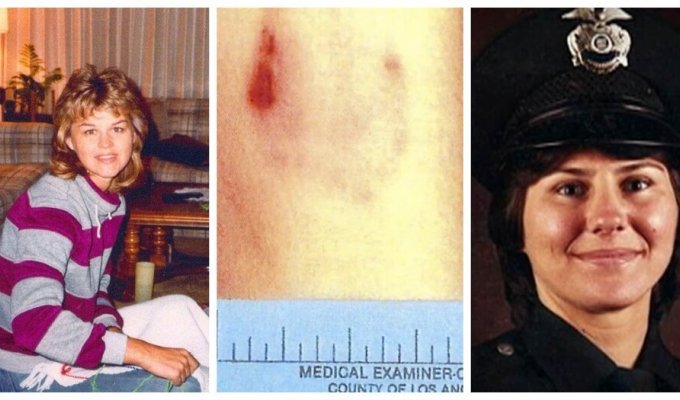 The fatal bite and the case, solved after a quarter of a century (8 photos)