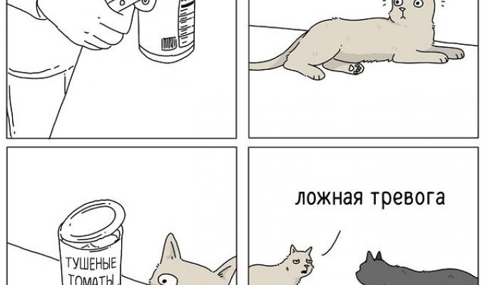 "Если бы они могли говорить": забавные комиксы о животных (15 фото)