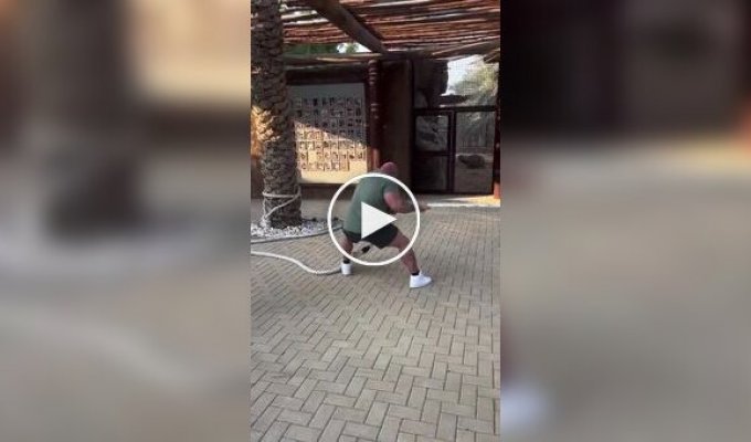 Тяжелоатлет решил помериться силой со львицей