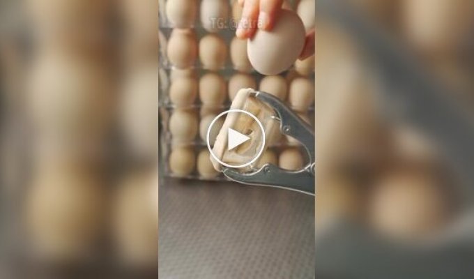 Китайский шеф-повар и его безумный яичный креатив