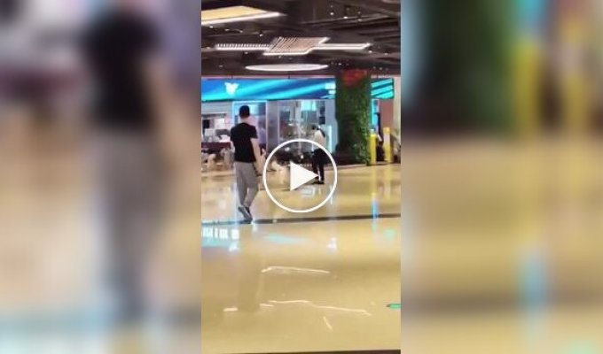 В Китае сотня хаски сбежала из зоокафе, чтобы прогуляться по торговому центру
