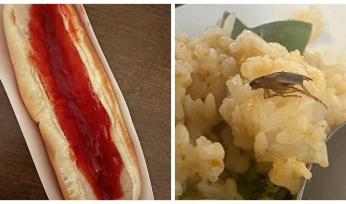 15 people who wanted to have lunch, but something went wrong (16 photos)