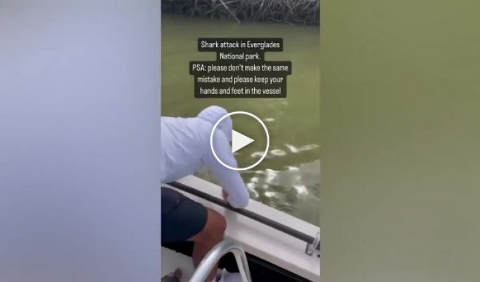 The fisherman decided to wash his hands in the water - and he was grabbed by a shark