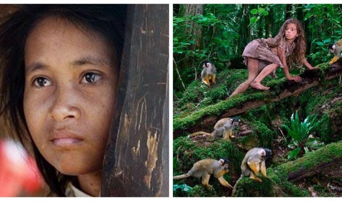 The sad story of a Cambodian monkey girl (8 photos)