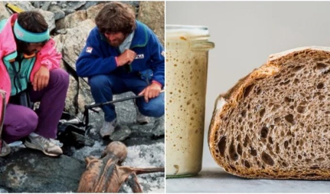 The taste of permafrost: biologists have grown sourdough on the remains of ancient humans (4 photos)