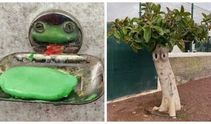 30 times the world stares at you with interest (31 photos)