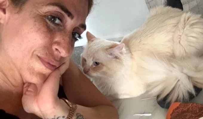 A woman claims that her clairvoyant cat helps her uncover the secrets of the future (3 photos)