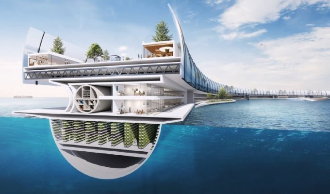 Японцы могут построить плавучий город на 40 тысяч человек (3 фото + 1 видео)