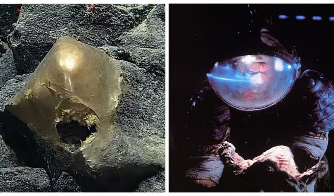 Mysterious 'golden egg' found on the seabed off the coast of Alaska