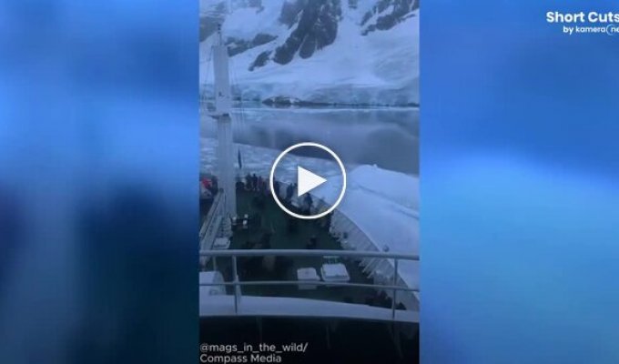 An expedition ship carefully pushed aside an ice barrier in Antarctica