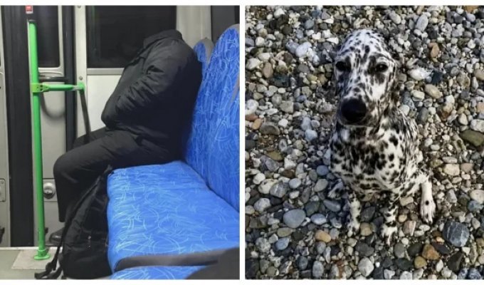 20 Photos Where Perspective Decides Everything (21 photos)