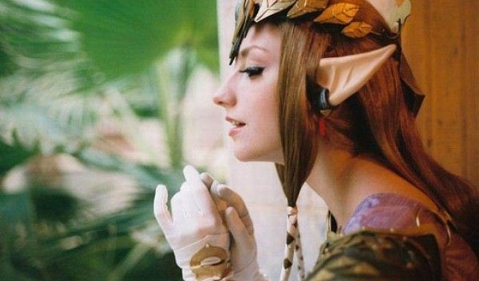 Принцеса Zelda (18 фото)