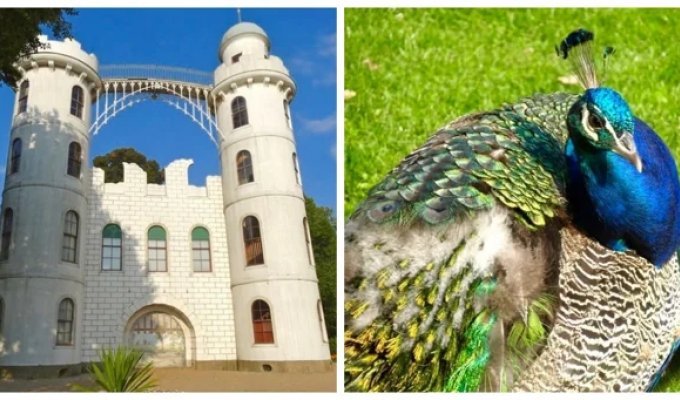 Pfaueninsel - romantic Peacock Island (10 photos + 1 video)