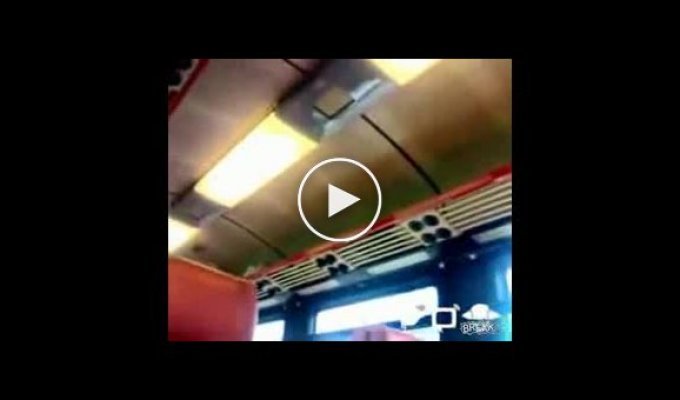 В Голландии, кондукторша поезда, забыла выключить микрофон