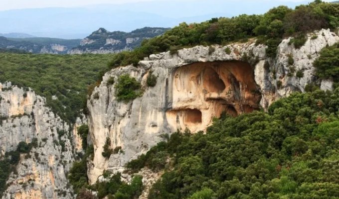 77-летний мужчина упал в глубокую ловушку и три дня был вынужден пить только вино (2 фото)