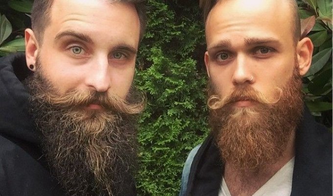 Эти двое парней превратили свои бороды в предмет искусства (22 фото)