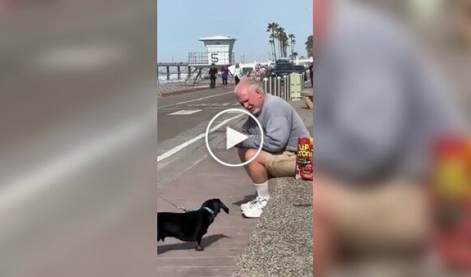 A man sits near the embankment every day and hands out dog treats