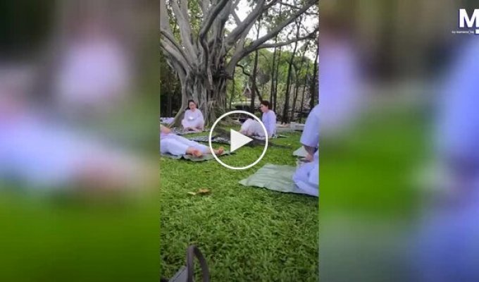 Неожиданный гость: варан прервал медитацию в Бангкоке