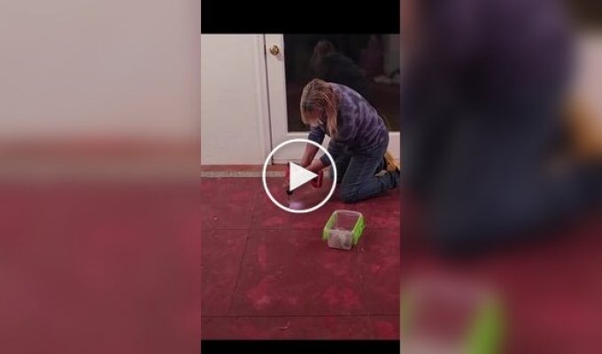 Secret under the floor: family finds a swimming pool right in the living room