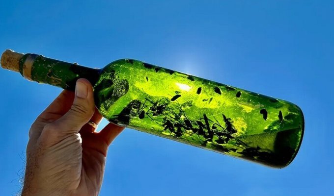 “Witch bottles” found on the southern beaches of the USA (5 photos + 1 video)