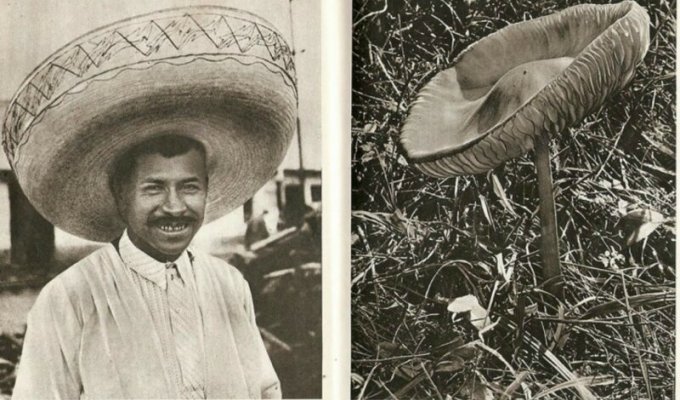 Прикольные фото-сравнения из журнала "Лилипут" 1937 года (32 фото)