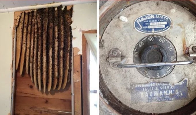 20 вещей, которые нашли только благодаря начатому ремонту (20 фото)