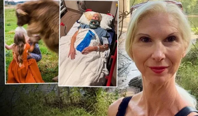 Корова напала на мать невесты посреди церемонии (3 фото)