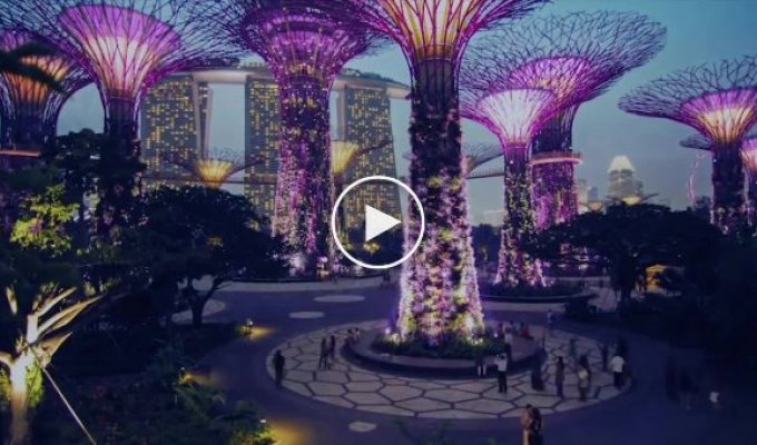 Город мечты. Сингапур