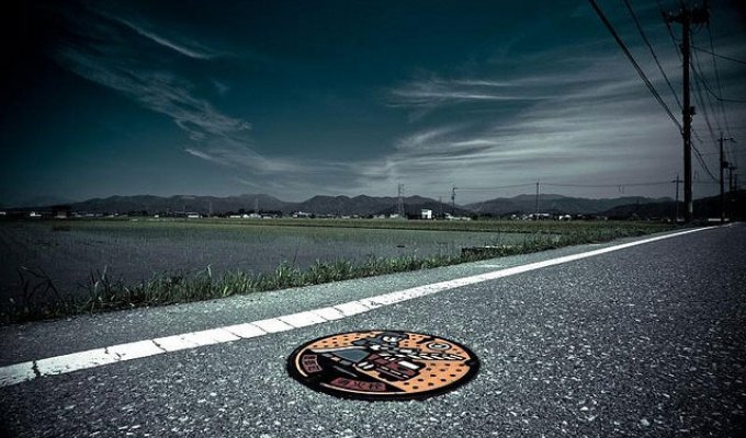 Необычные японские канализационные люки (15 фото)