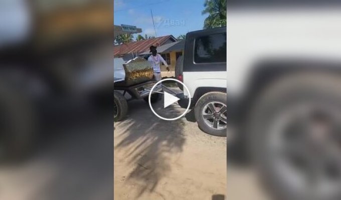 Необычная похоронная процессия в Африке