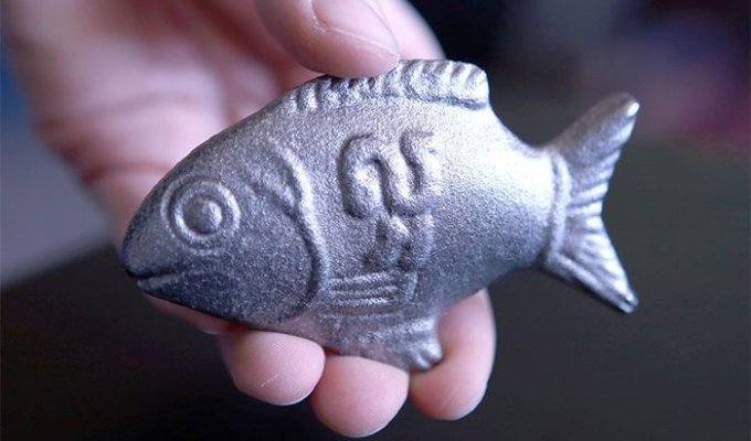 Металлическая чудо-рыба, которая спасает жизнь людям (9 фото)