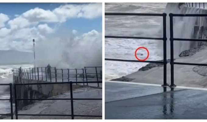 В Австралії гігантська хвиля знесла дівчинку у бурхливу воду (6 фото + 1 відео)