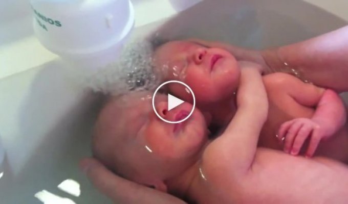 Новорожденные близнецы наслаждаются первым купанием