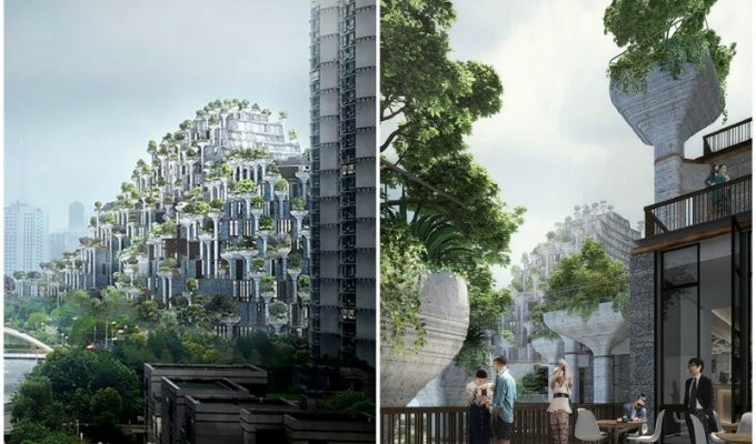 "Тысяча деревьев": в Китае строят необычный эко-дом (24 фото)