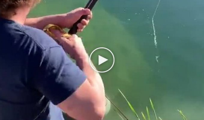 Отличный улов на рыбалке