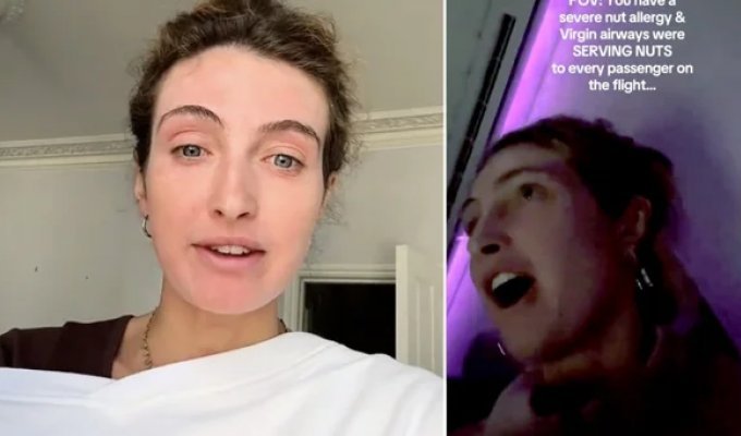Пассажирка потребовала исключить ореховый пирог из меню (3 фото + 1 видео)
