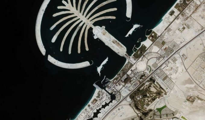Пальмовые острова в Дубаи (15 фото)