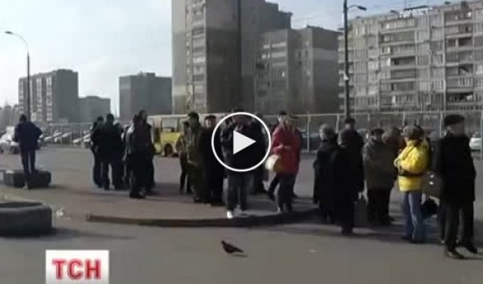 Майдан. Межигорскую резиденцию превратили в мусор