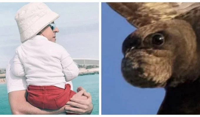 30 photos that will make you rub your eyes in disbelief (31 photos)