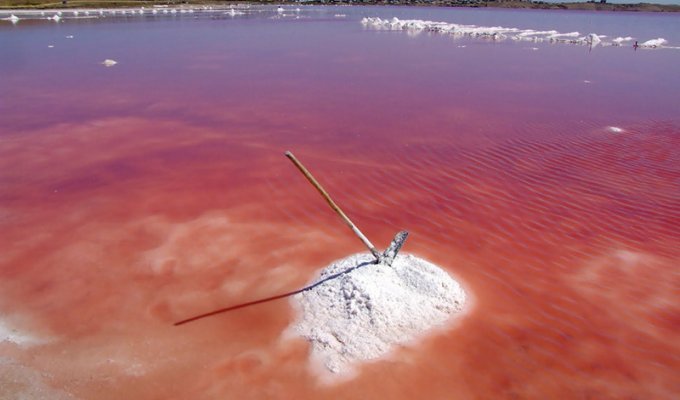 Озеро Хильер розового цвета (5 фото)