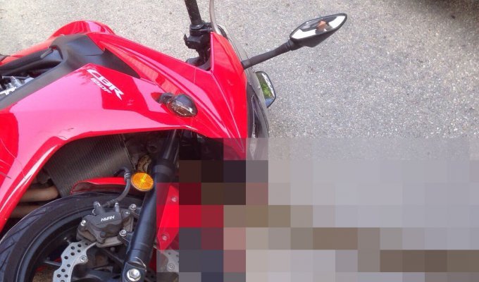 Мотоциклист обнаружил лишнего пассажира во время движения (4 фото)