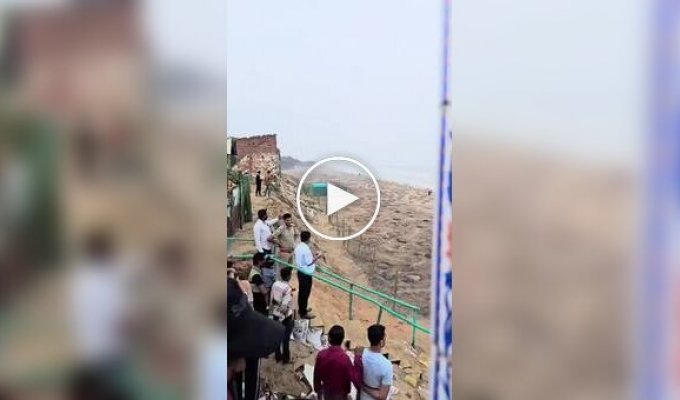 Массовое гнездование морских черепах в штате Одиша в Индии