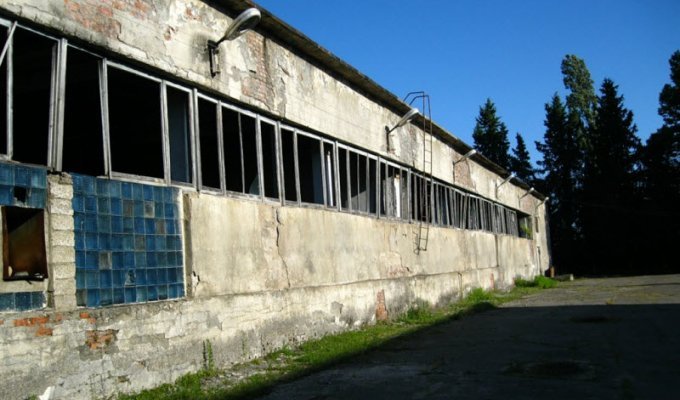 Гудаутская чайная фабрика №2 (43 фото)