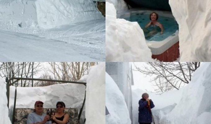 В Канаде выпал снежок (9 фото)