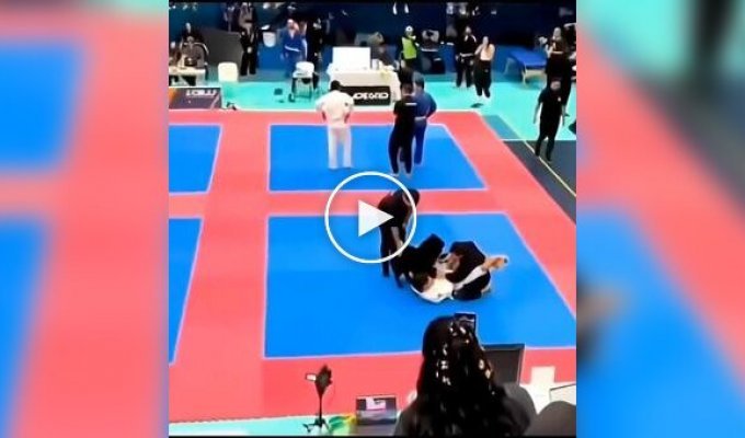 Собака бросилась вызволять хозяина во время турнира по джиу-джитсу