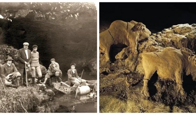 Two bison that waited 15,000 years: a masterpiece of ancient masters in the heart of France (6 photos + 1 video)